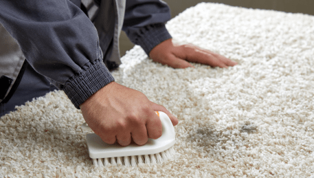 Professional Rug Cleaning Malvern